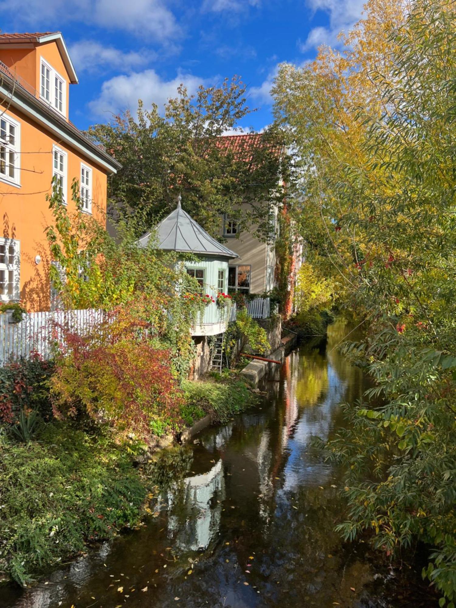 Ferienwohnung Schildblick Modernes Apartment Direkt In Der Altstadt Von Erfurt Nahe Der Kraemerbruecke - Beste Innenstadtlage Экстерьер фото